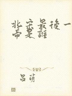 北宋最后一位皇帝是谁
