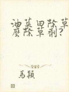 油菜田除草用什么除草剂?