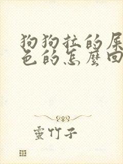 狗狗拉的屎是红色的怎么回事