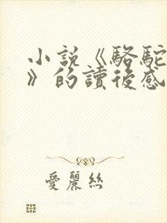 小说《骆驼祥子》的读后感