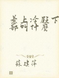 惹上冷殿下第二部叫什么
