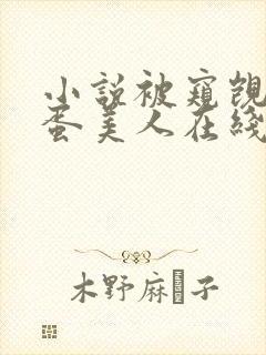 小说被窥觊的笨蛋美人在线阅读
