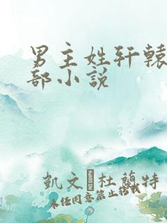 男主姓轩辕的全部小说