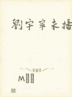 刘宇宁未播剧