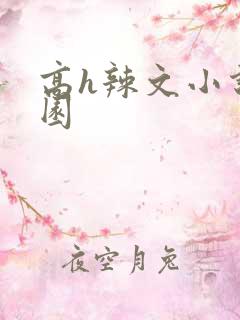 高h辣文小说校园