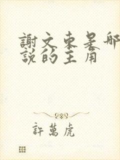 谢文东是哪部小说的主角