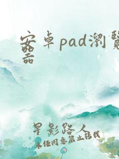 安卓pad浏览器