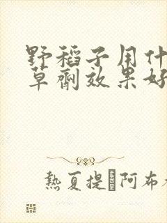 野稻子用什么除草剂效果好