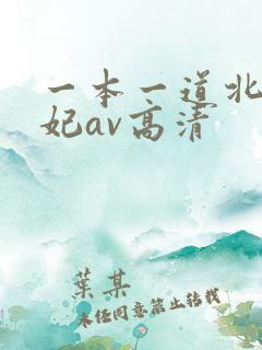一本一道北条麻妃av高清