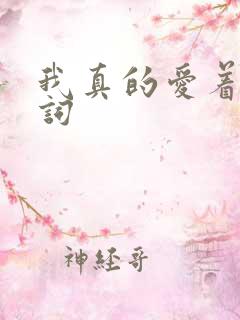 我真的爱着你歌词