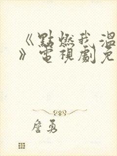 《点燃我温暖你》电视剧免费观看