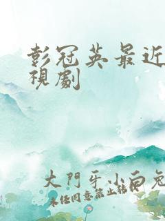 彭冠英最近的电视剧