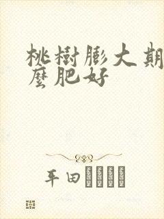 桃树膨大期用什么肥好
