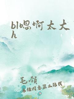 bl嗯啊太大了h