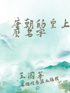 唐朝的皇上叫什么名字