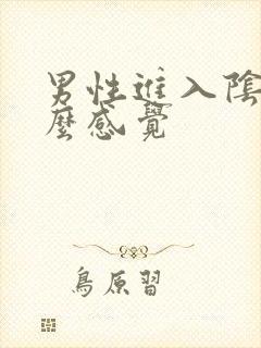 男性进入阴道什么感觉