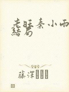 老旺秦小雨最后结局