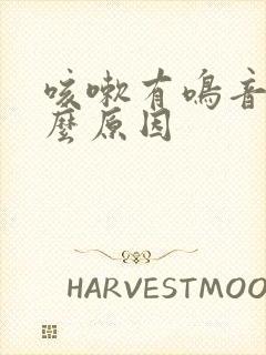 咳嗽有鸣音是什么原因