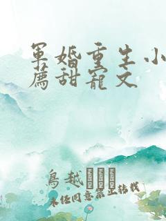 军婚重生小说推荐甜宠文