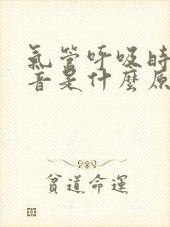气管呼吸时有鸣音是什么原因