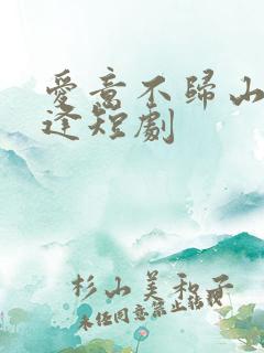 爱意不归山水相逢短剧