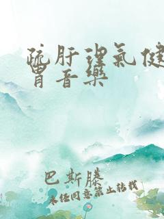 疏肝理气健脾和胃音乐