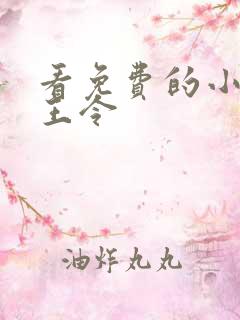 看免费的小说神王令