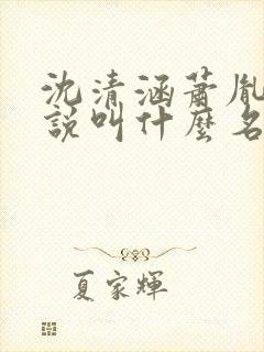 沈清涵萧胤祯小说叫什么名字