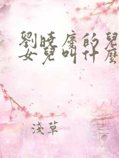 刘晓庆的儿子和女儿叫什么