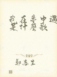 我在梦中遇见你是什么歌