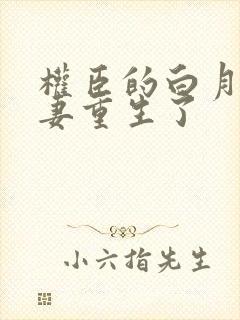权臣的白月光前妻重生了