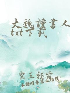 大魏读书人全本txt下载