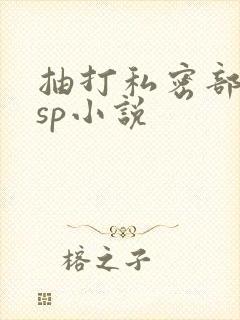 抽打私密部调教sp小说