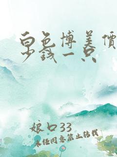 白色博美价格多少钱一只