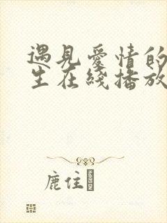 遇见爱情的利先生在线播放