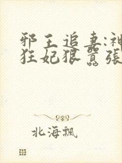 邪王追妻:神医狂妃狠嚣张小说