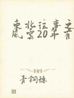 东北往事之黑道风云20年有没有第二部