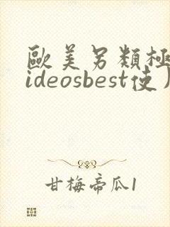 欧美另类极品videosbest使用方法