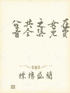 公共之女在线观看全集免费