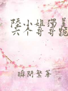 陆小姐独美后,六个哥哥跪求