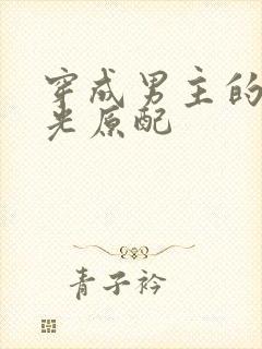 穿成男主的白月光原配