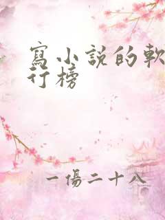 写小说的软件排行榜