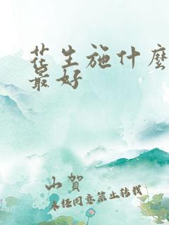 花生施什么肥料最好