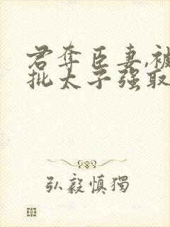 君夺臣妻,被疯批太子强取豪夺 君夺臣妻,被疯批太子强取豪夺