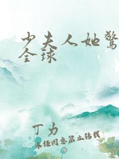 少夫人她惊艳了全球