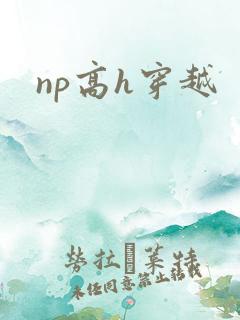 np高h穿越