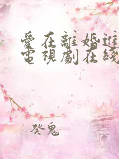 爱在离婚进行时电视剧在线免费观看