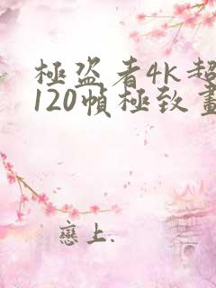 极盗者4k超清120帧极致画质