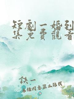 短剧一婚到底全集免费观看