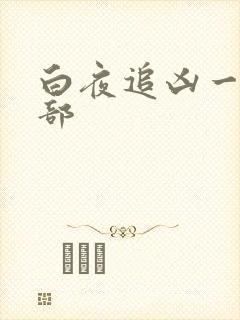 白夜追凶一共几部